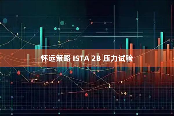 怀远策略 ISTA 2B 压力试验