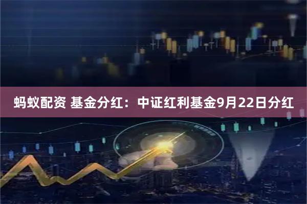 蚂蚁配资 基金分红：中证红利基金9月22日分红